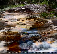 Mothar Mountain Rockpools - VIC Tourism