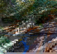 Ms Kellys Walking Track - VIC Tourism