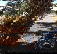 Murchison Rail Trail - VIC Tourism