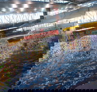 Oasis Regional Aquatic Centre - VIC Tourism
