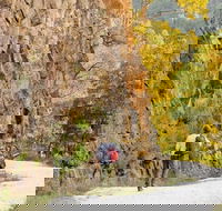 Old Great North Road - World Heritage Walk - VIC Tourism