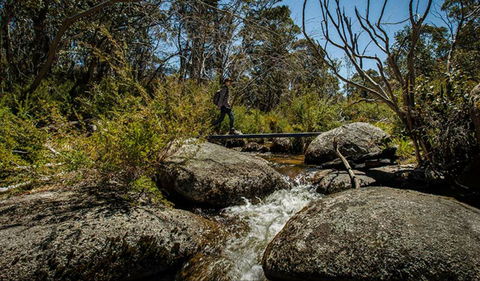 Pallaibo Walking Track - VIC Tourism 0
