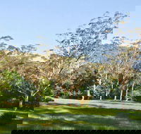 Red Cedar Flat Picnic Area - VIC Tourism