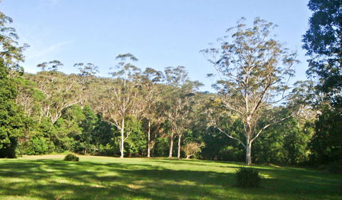 Red Cedar Flat Picnic Area - VIC Tourism 0