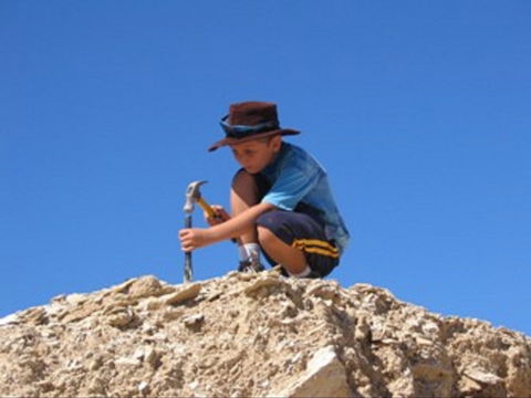 Richmond Fossil Hunting Sites - VIC Tourism 0