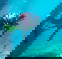 Shellharbour Scuba  and Photography Centre - VIC Tourism