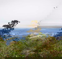 Slingsbys Trail and Syndicate Ridge Track - VIC Tourism