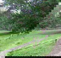 St Albans Reserve - VIC Tourism