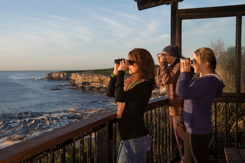 Sutherland Shire - VIC Tourism 0