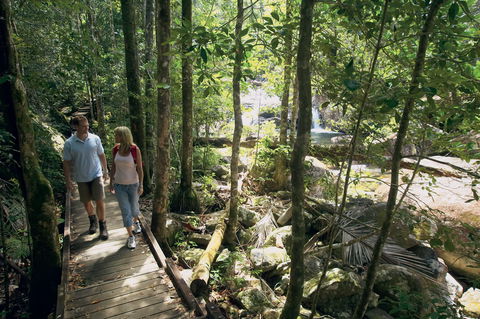 The Pioneer Valley And Eungella National Park - VIC Tourism 1