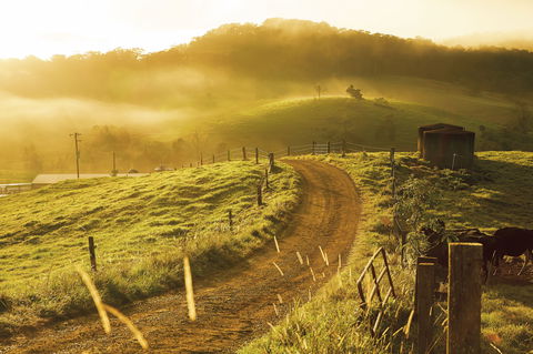 The Pioneer Valley And Eungella National Park - VIC Tourism 2