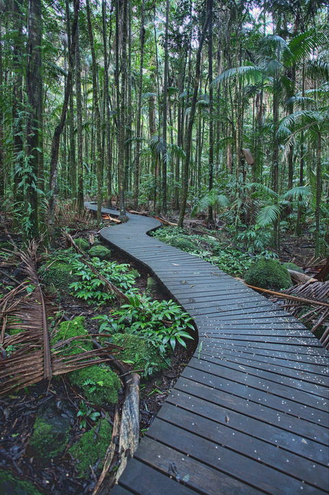 The Channon, Protesters Falls, Nimbin And Mount Nardi - VIC Tourism 0