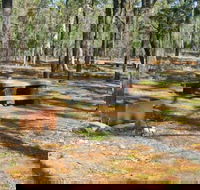 Two Dams picnic area - VIC Tourism