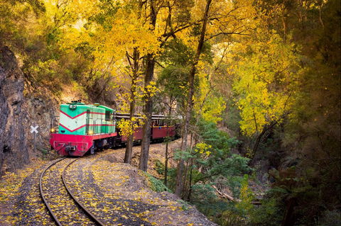 Walhalla Goldfields Railway - VIC Tourism 2