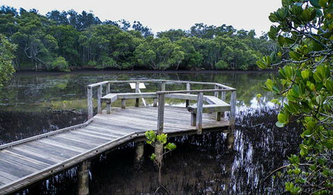 Walk On Water Walking Track - VIC Tourism 0
