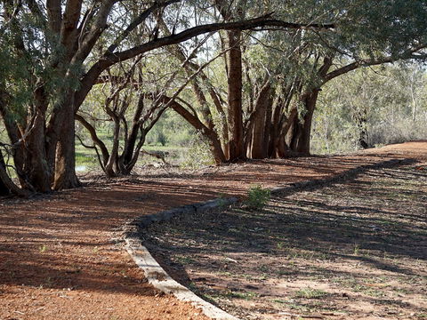 Warrego Floodplain Walking Track - VIC Tourism 0
