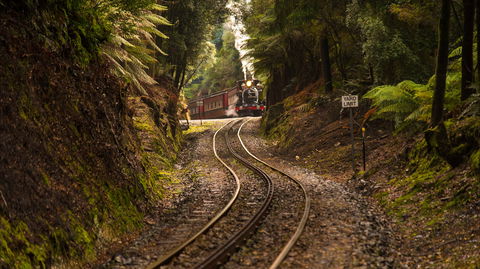 West Coast - VIC Tourism 0