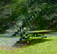 Williams River picnic area - VIC Tourism