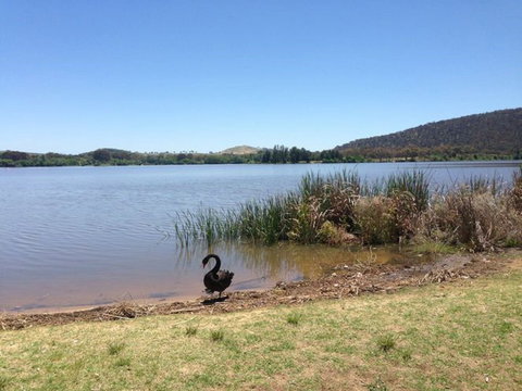 Yarralumla Bay - VIC Tourism 0