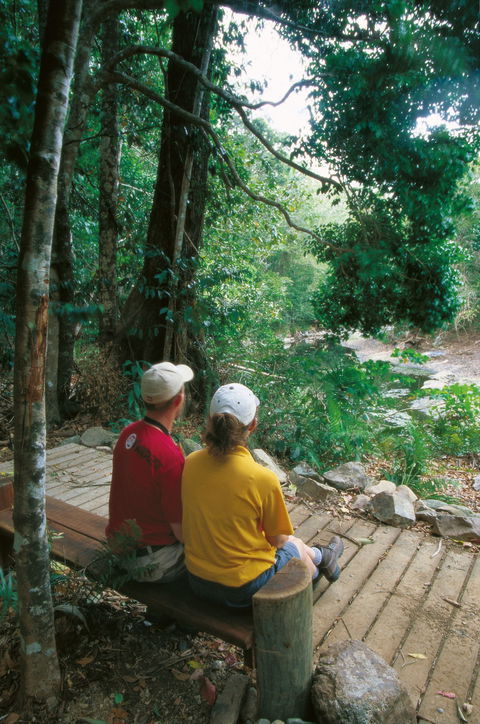 Airlie Beach To Cedar Creek Falls - VIC Tourism 2