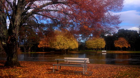 Bells Parade Reserve - VIC Tourism 0