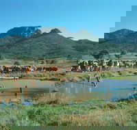 Biggenden - VIC Tourism