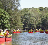 Bonville Creek - VIC Tourism