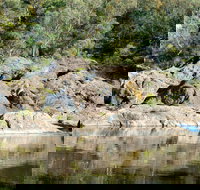 Boonoo Boonoo National Park - VIC Tourism