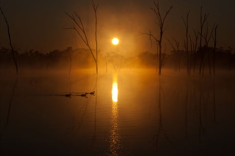 Boshack Outback - VIC Tourism 1