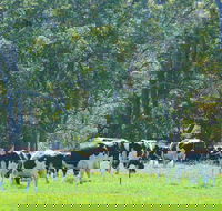 Boyanup - VIC Tourism