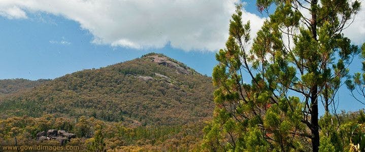Tintaldra VIC VIC Tourism