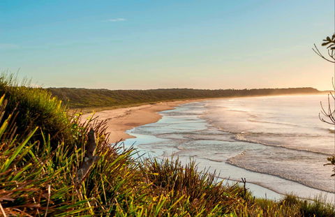 Burrawang Track - Conjola Beach To Buckleys Point - VIC Tourism 0