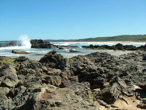 Coastal Walks - Bermagui - VIC Tourism 0
