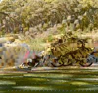 Creswick Regional Park - VIC Tourism