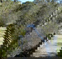 Falcon Crescent Link Track - VIC Tourism