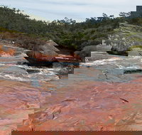 FR Berry Reserve - VIC Tourism