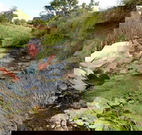 Gold Panning Deep Creek - VIC Tourism