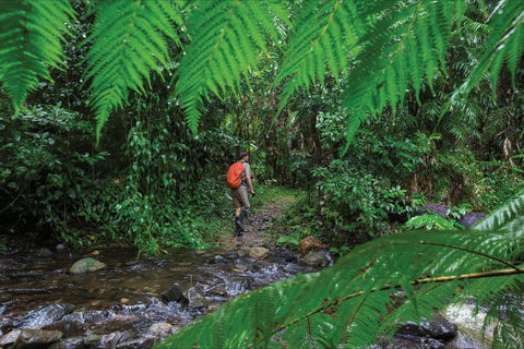 Goldsborough Valley, Wooroonooran National Park - VIC Tourism 0