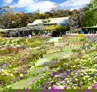 Kate's Berry Farm - VIC Tourism