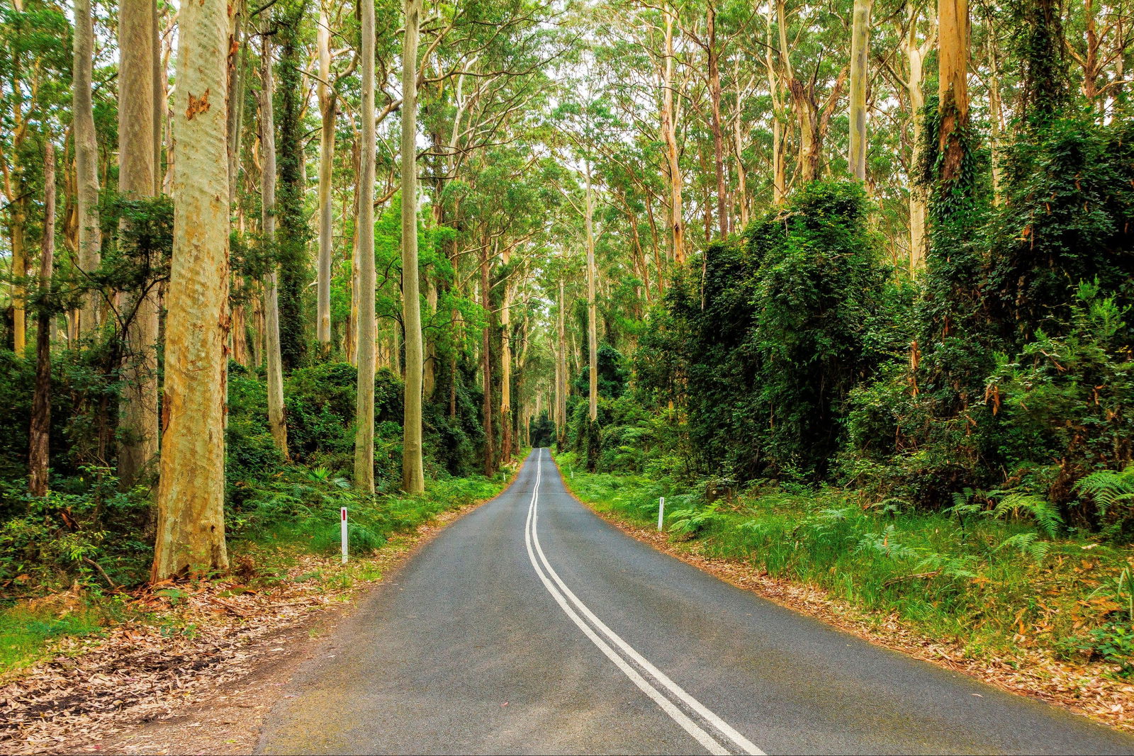 Kioloa NSW VIC Tourism