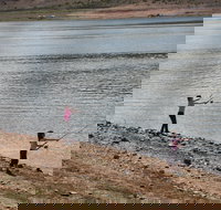 Lake Wyangala - VIC Tourism