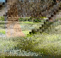 Leaghur State Park - VIC Tourism