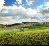 Lions Park Hodgson Vale - VIC Tourism