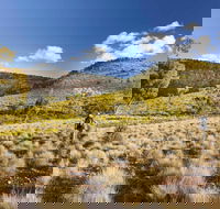 Little Mountain Walking Track - VIC Tourism