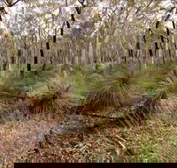 Livingstone National Park - VIC Tourism