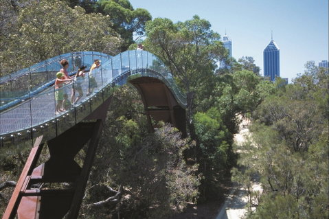Lotterywest Federation Walkway - Kings Park - VIC Tourism 1