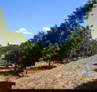 MacNuts WA Shop and Factory - VIC Tourism