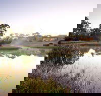 McClelland Sculpture Park  Gallery - VIC Tourism