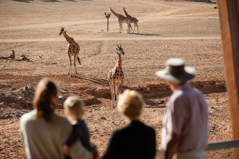 Monarto Safari Park - VIC Tourism 0