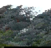 Mount Yarrowyck Nature Reserve - VIC Tourism